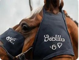 Horse wearing an embroidered rug